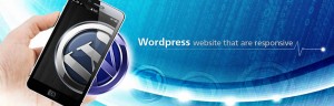 Wordpress Theme Designer